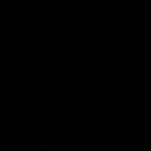 Meet your Posher, Alannah